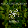 Pack: Simposio Psiconauta: Utopía y Ebriedad + Seminario: Historia de las Drogas – Completos - Image 2