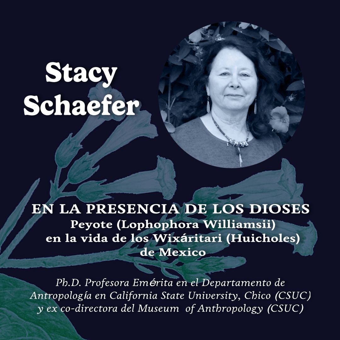 3.- Simposio Psiconáuta: Utopía y Ebriedad: En la Presencia de los Dioses: Peyote (Lophophora williamsii) en la Vida de los Wixáritari (Huicholes) de México – Stacy Schaefer (EN/ESP)